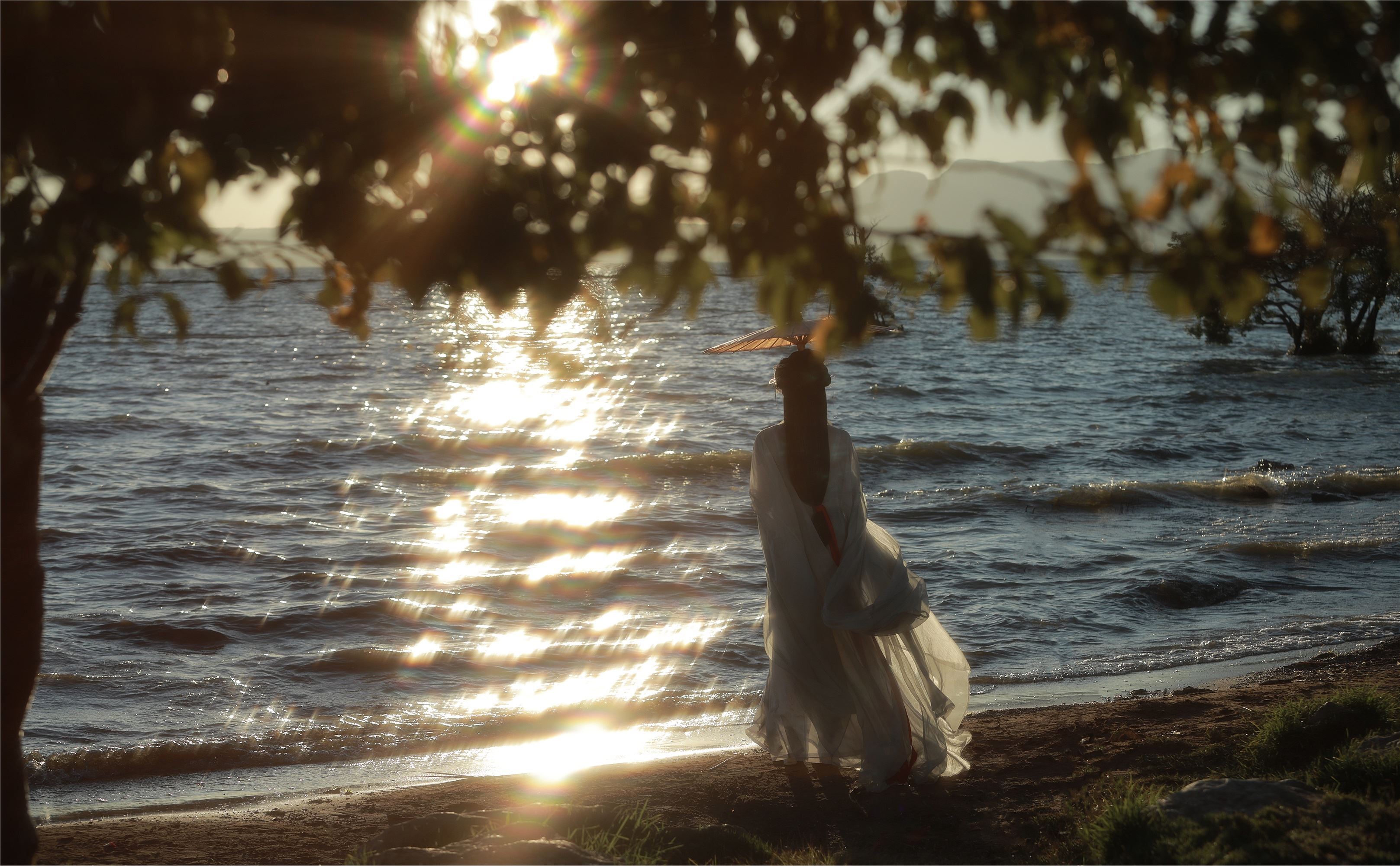 YITUYU艺图语 2025.01.24 要一个黄昏，满是风 南瓜